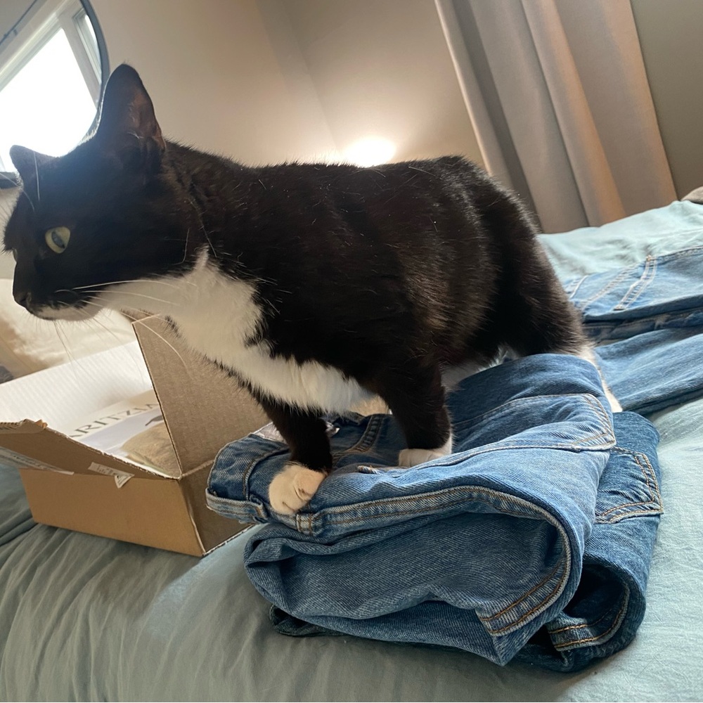 ZARA mom jeans